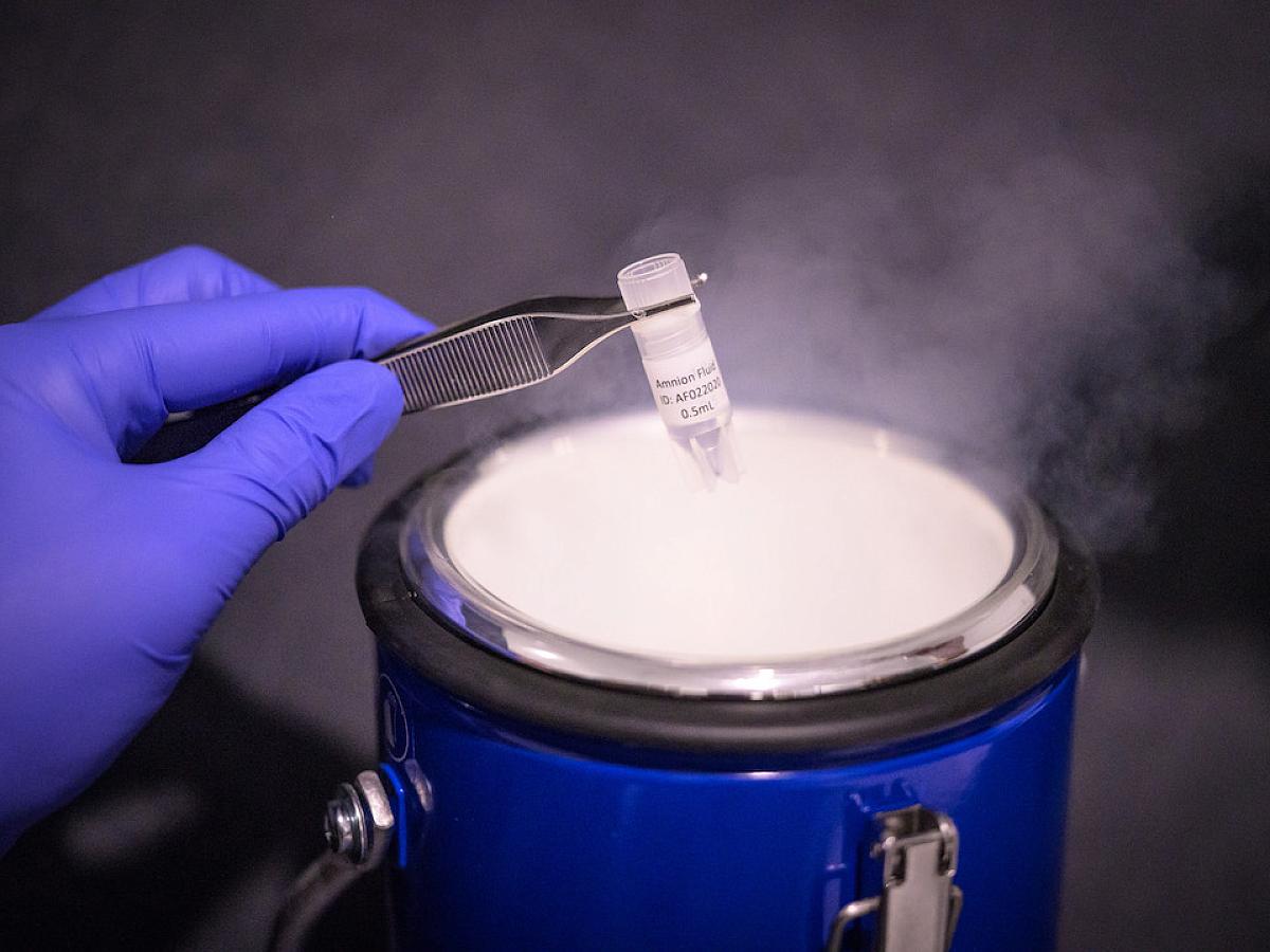 vial lowered into dry ice bucket