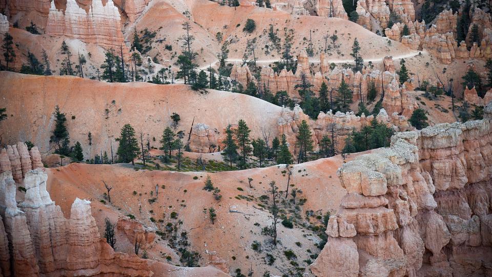 red rock 
