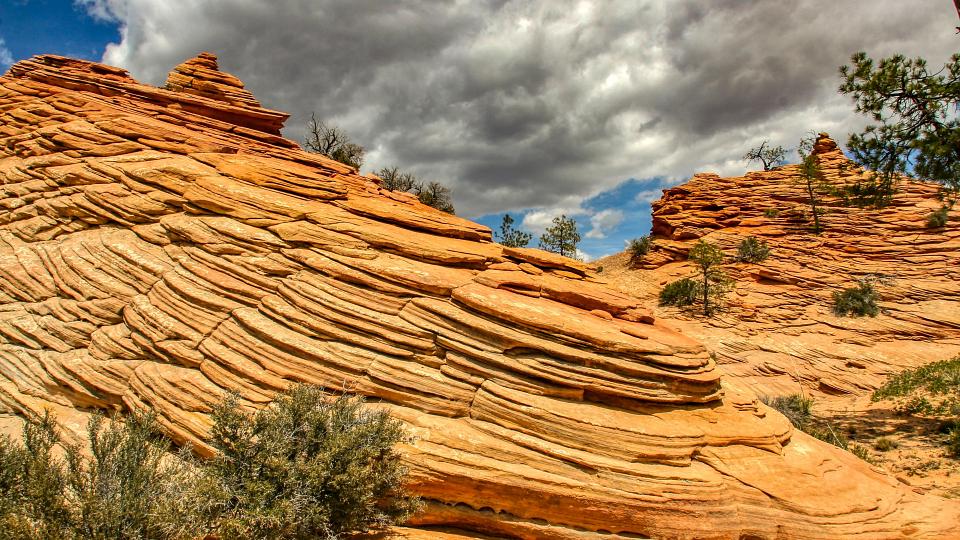 Rocks - Zion National Park - Utah