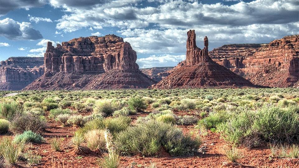 desert