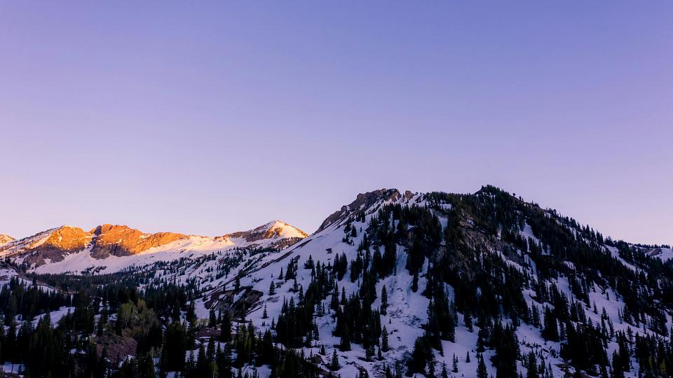 mountain External link: (https://healthcare.utah.edu/newsroom/news/2024/12/new-gene-therapy-reverses-heart-failure-large-animal-model)