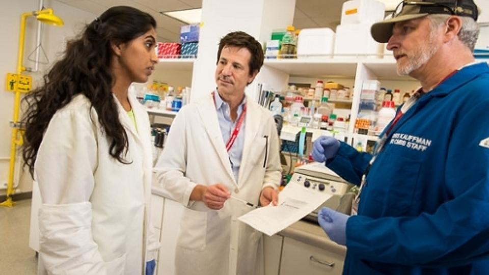  External link: (https://uofuhealth.utah.edu/notes/postings/2018/11/working-in-academic-medicine.php#.XAbQB2hKhPZ)