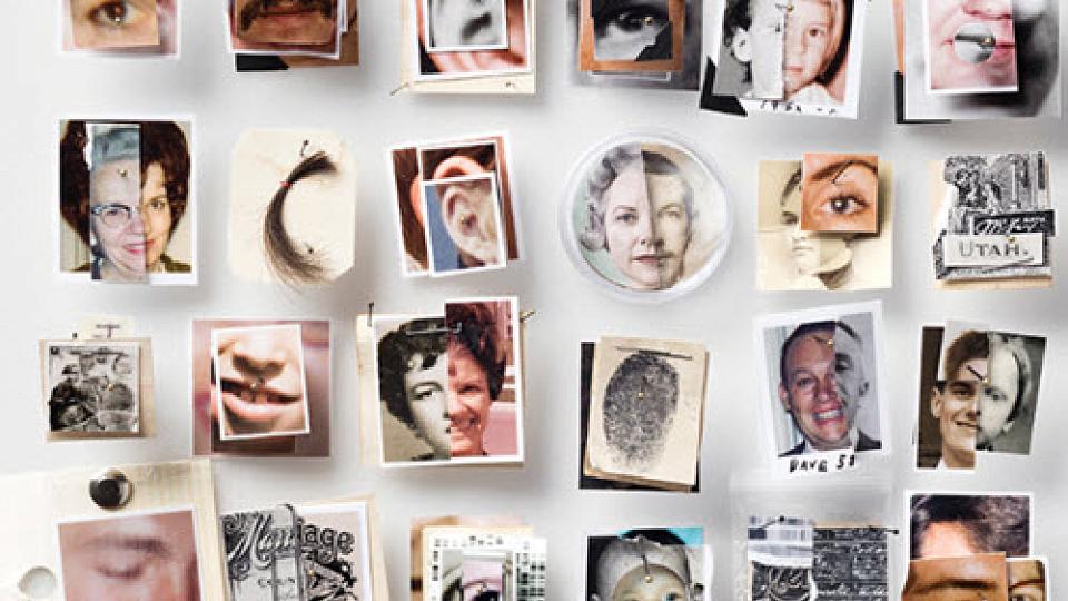  External link: (http://protomag.com/articles/knots-family-tree)