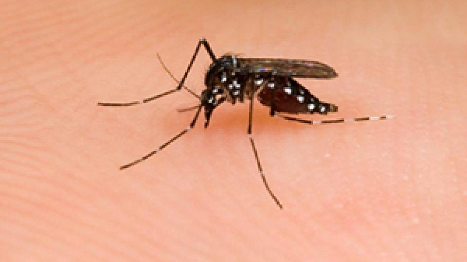  External link: (http://healthcare.utah.edu/publicaffairs/news/2016/09/utah-zika-case.php)