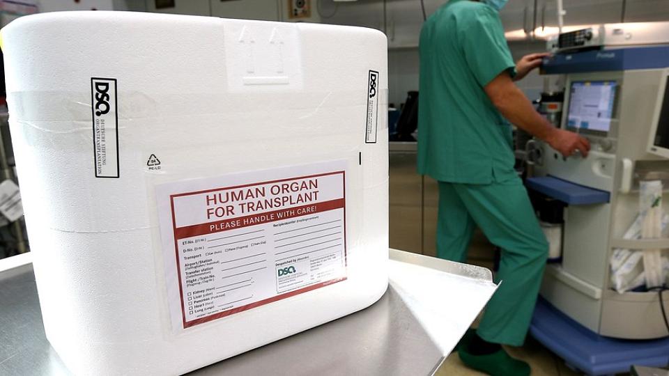  External link: (https://www.nbcnews.com/health/health-news/opioid-crisis-makes-more-organs-available-n874761)