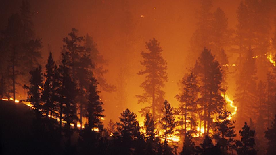  External link: (https://healthcare.utah.edu/healthfeed/postings/2020/08/covid19-wildfires.php)